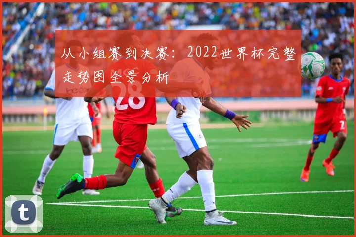 从小组赛到决赛：2022世界杯完整走势图全景分析