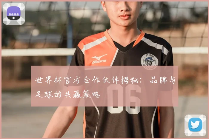 世界杯官方合作伙伴揭秘：品牌与足球的共赢策略