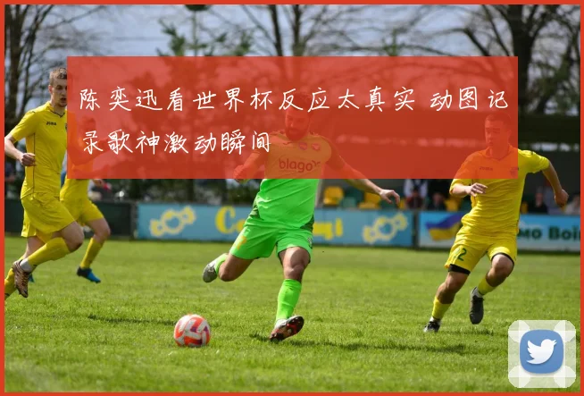 陈奕迅看世界杯反应太真实 动图记录歌神激动瞬间