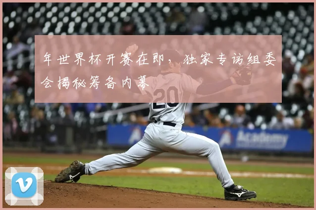 年世界杯开赛在即，独家专访组委会揭秘筹备内幕