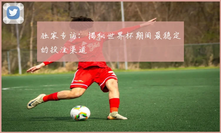 独家专访：揭秘世界杯期间最稳定的投注渠道