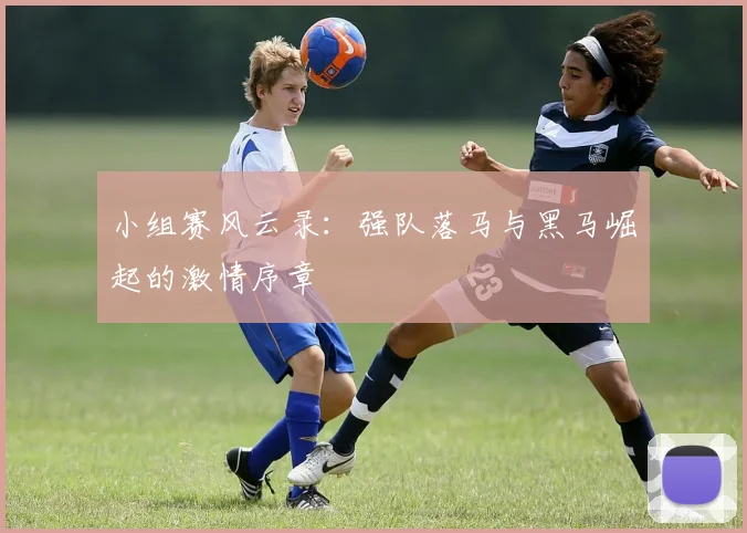 小组赛风云录：强队落马与黑马崛起的激情序章