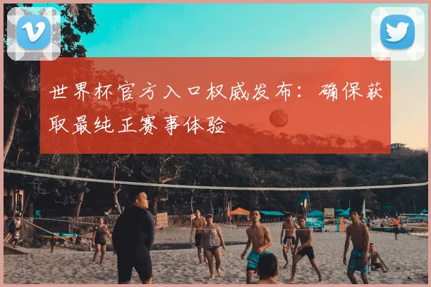 世界杯官方入口权威发布：确保获取最纯正赛事体验