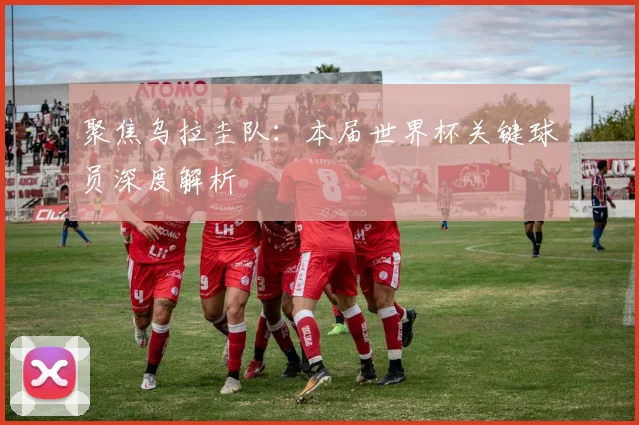 聚焦乌拉圭队：本届世界杯关键球员深度解析