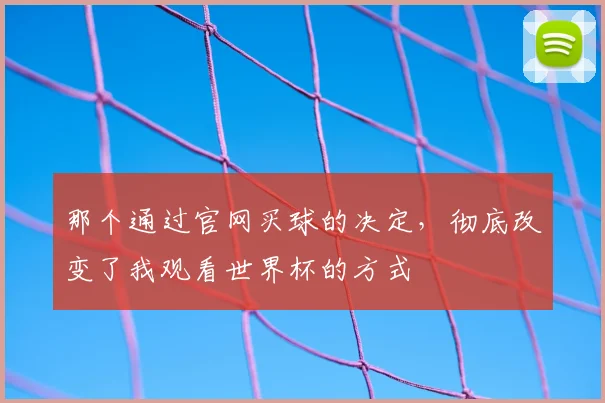 那个通过官网买球的决定，彻底改变了我观看世界杯的方式