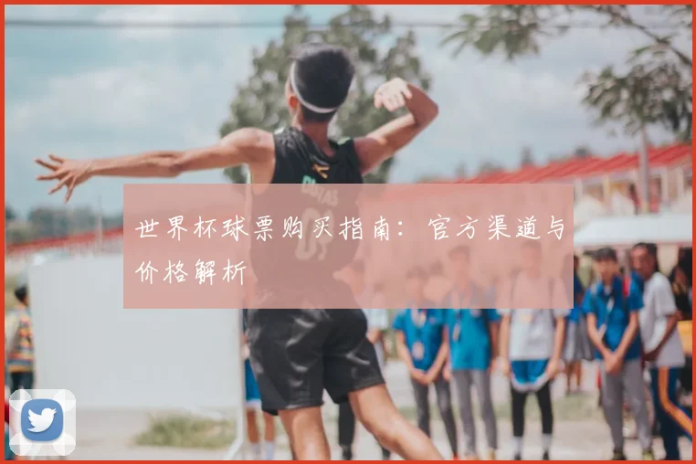 世界杯球票购买指南：官方渠道与价格解析