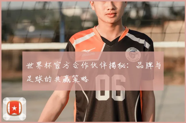 世界杯官方合作伙伴揭秘：品牌与足球的共赢策略
