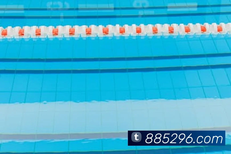 滚球官网app平台生态图